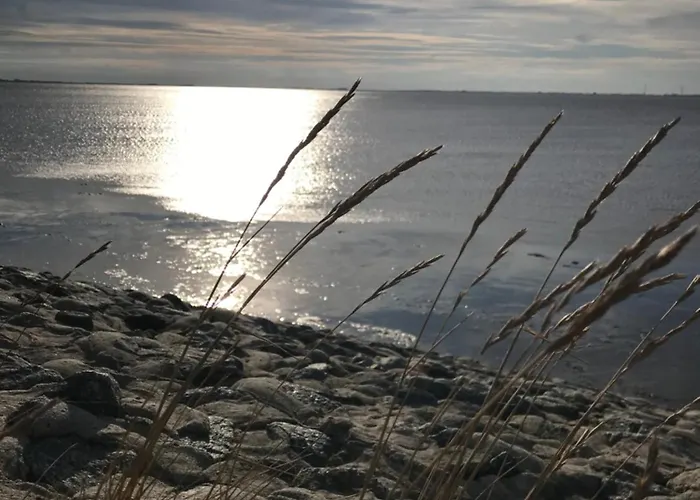 Luetje-huuske * Krummhörn