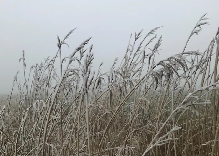 Luetje-huuske Nyaraló